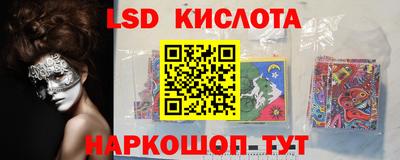 Альфа ПВП Ярославль