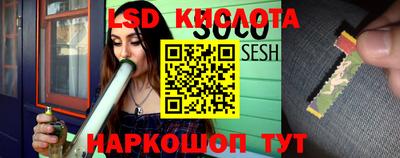 Альфа ПВП Ярославль