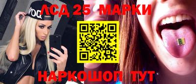 Альфа ПВП Ярославль