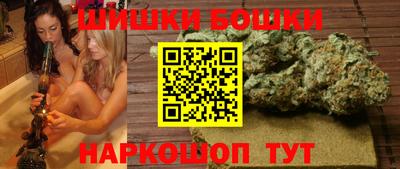 Альфа ПВП Ярославль