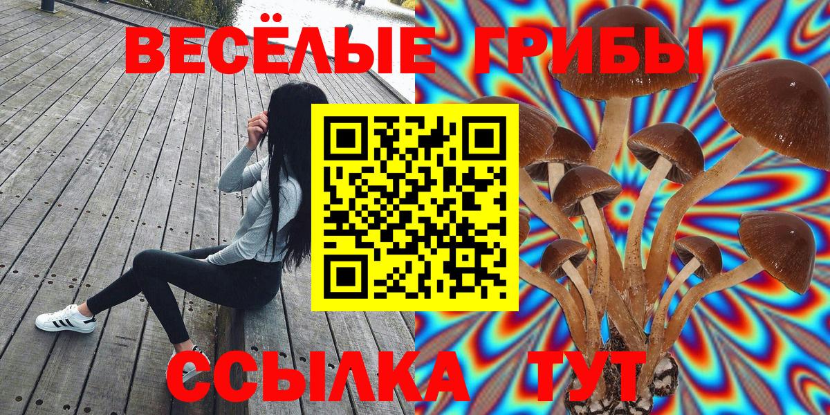 Псилоцибиновые грибы Psilocybine cubensis  Псилоцибиновые грибы прущие грибы  Вход с VPN  Гагарин 