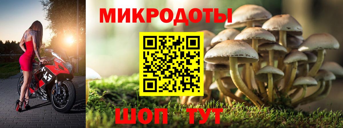 Псилоцибиновые грибы мухоморы Гагарин